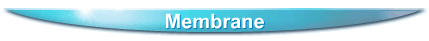 Membrane