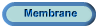 Membrane